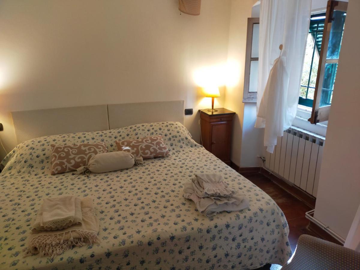 Incantevole Con Giardino Apartment *